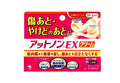 Kobayashi Atnon EX Scar Healing Cream – Fade Scars & Smooth Skin Texture